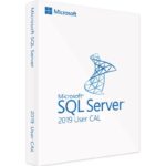 Microsoft SQL Server 2019 Standard (CAL) – Licenza Completa