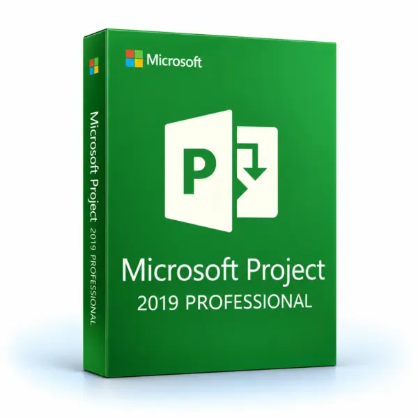 PROJECT 2019 PROFESSIONAL ACTIVATION KEY – (PC) - Licenza A Vita